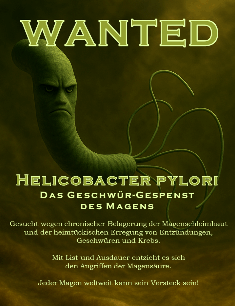 Wanted: Helicobacter pylori, Das Geschwür-Gespenst des Magens. Gesucht wegen chronischer Belagerung der Magenschleimhaut und der heimtückischen Erregung von Entzündungen,Geschwüren und Krebs.
Mit List und Ausdauer entzieht es sich den Angriffen der Magensäure.
Jeder Magen weltweit kann sein Versteck sein!